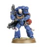 Primaris Intercessors