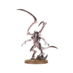 Lictor